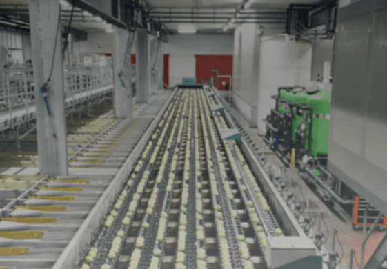 Food and beverage processing equipment